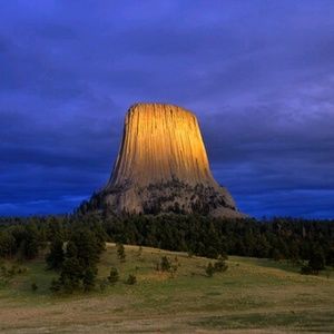 Meet your Posher, Troy